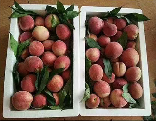 3分钟看懂 —— EPS泡沫箱