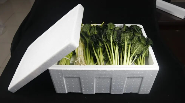 除了运输，泡沫箱还有什么用途？