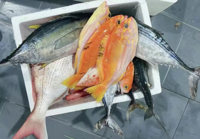 不管你家多有钱，废旧泡沫箱可不能扔，太“值钱”了，都看看吧